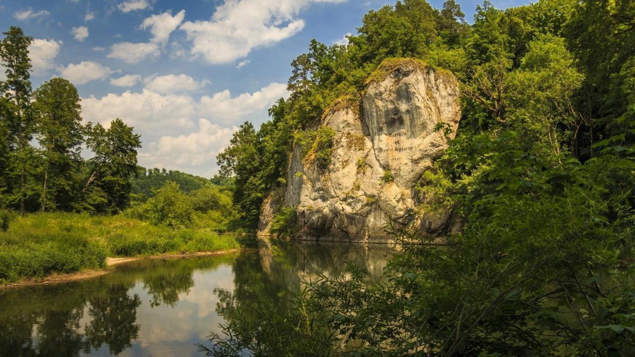 Sehr Beliebt! Ferienhaus Zur Donau Хербертинген Экстерьер фото