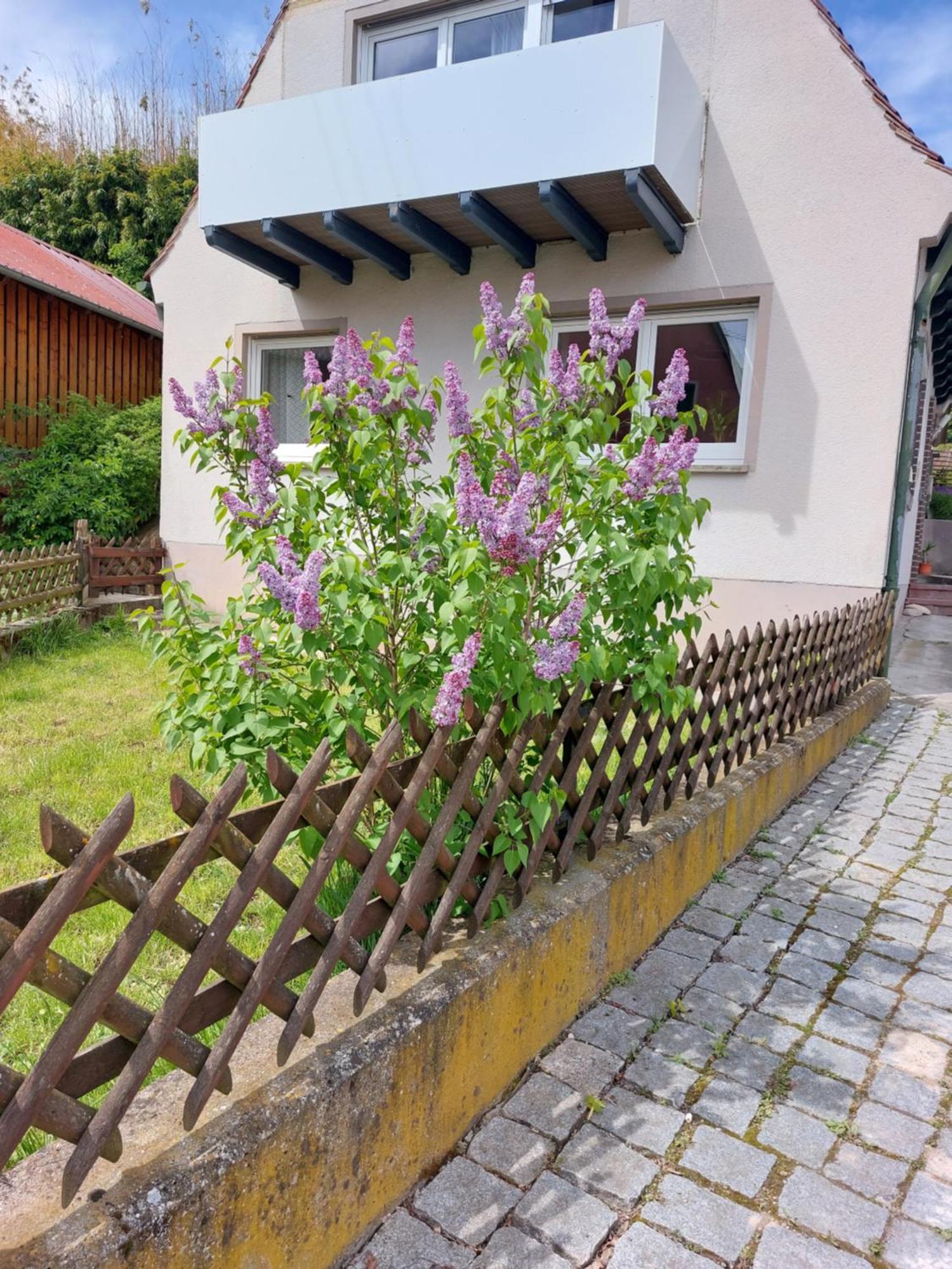 Sehr Beliebt! Ferienhaus Zur Donau Хербертинген Экстерьер фото